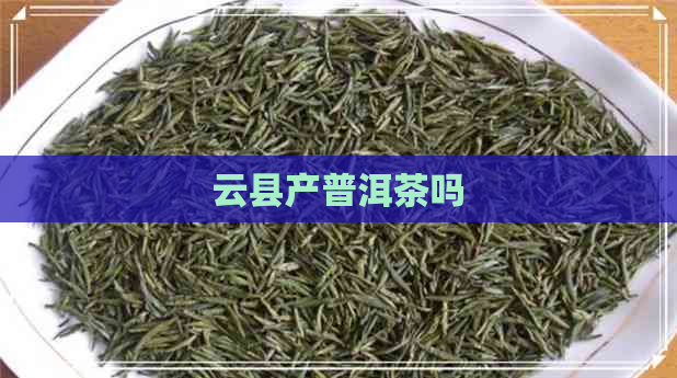 云县产普洱茶吗