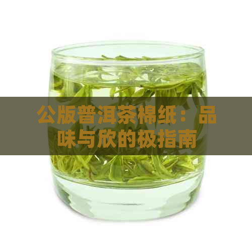 公版普洱茶棉纸：品味与欣的极指南