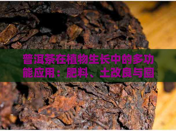 普洱茶在植物生长中的多功能应用：肥料、土改良与园艺保护