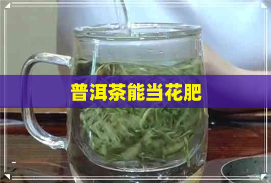 普洱茶能当花肥