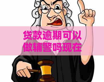 贷款逾期可以做辅警吗现在？解决办法及影响解析