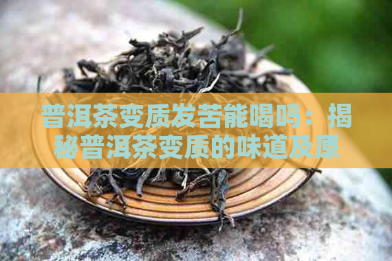 普洱茶变质发苦能喝吗：揭秘普洱茶变质的味道及原因