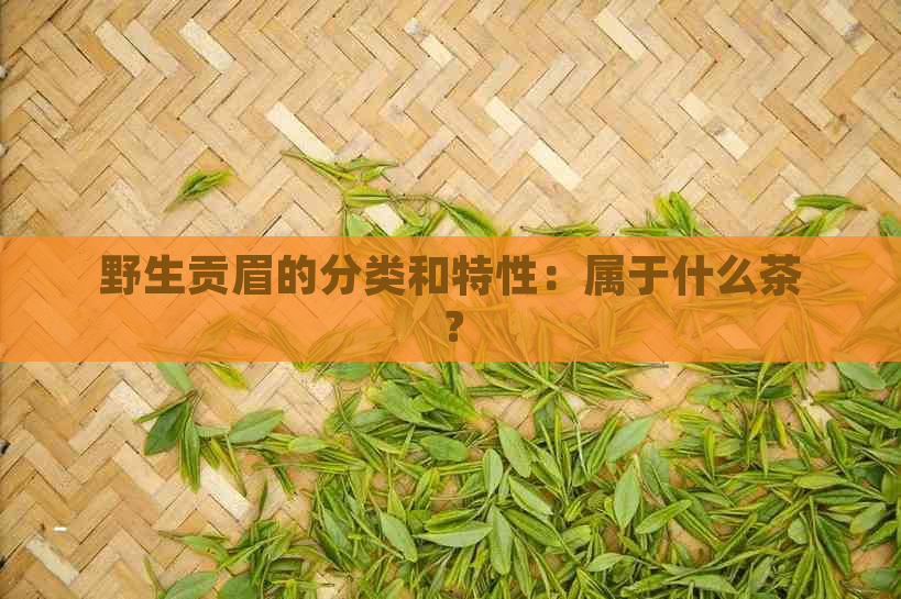 野生贡眉的分类和特性：属于什么茶？