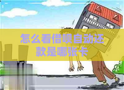 怎么看借呗自动还款是哪张卡