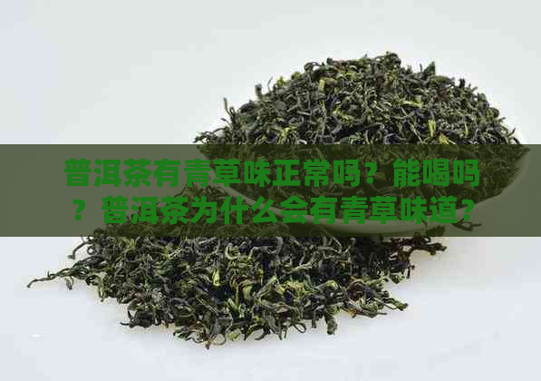 普洱茶有青草味正常吗？能喝吗？普洱茶为什么会有青草味道？