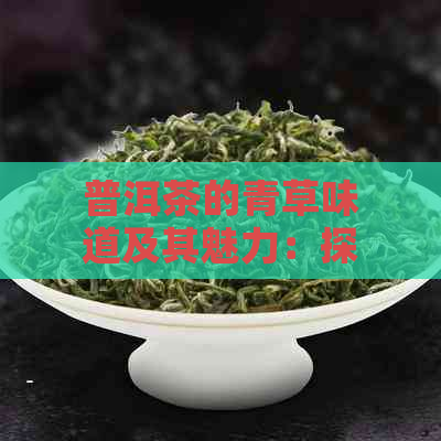 普洱茶的青草味道及其魅力：探寻古树茶的秘密