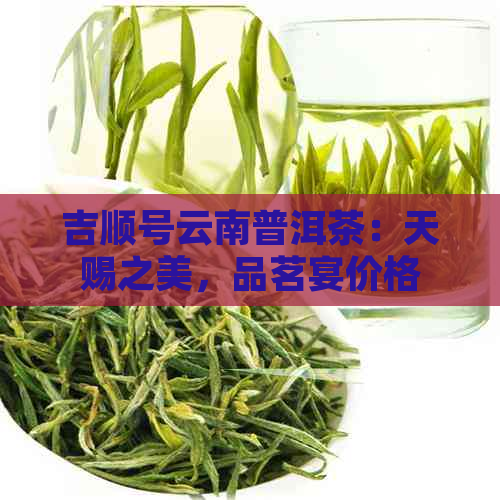 吉顺号云南普洱茶：天赐之美，品茗宴价格解析