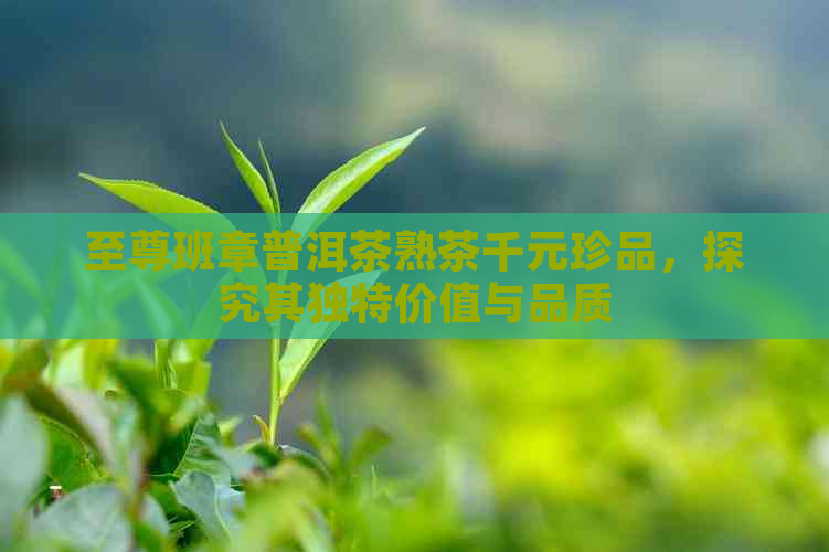 至尊班章普洱茶熟茶千元珍品，探究其独特价值与品质