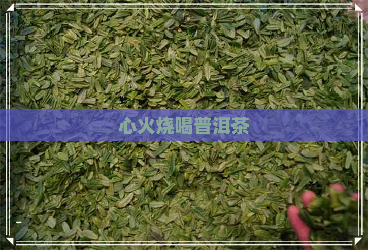 心火烧喝普洱茶