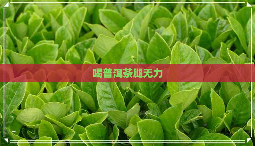 喝普洱茶腿无力