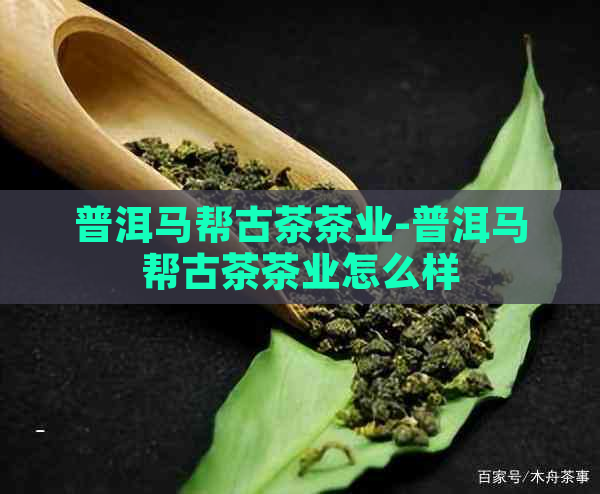 普洱马帮古茶茶业-普洱马帮古茶茶业怎么样