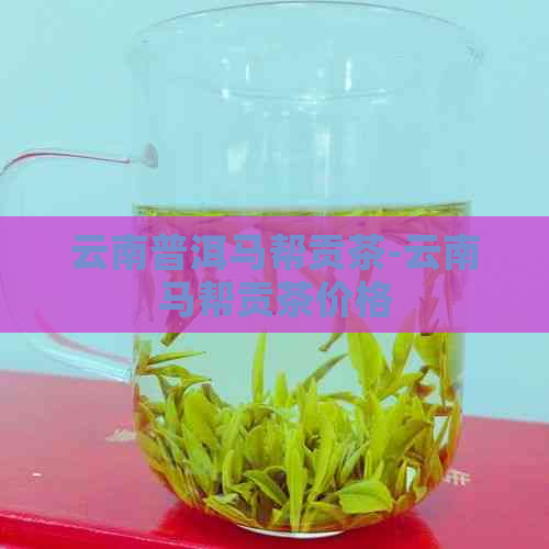 云南普洱马帮贡茶-云南马帮贡茶价格