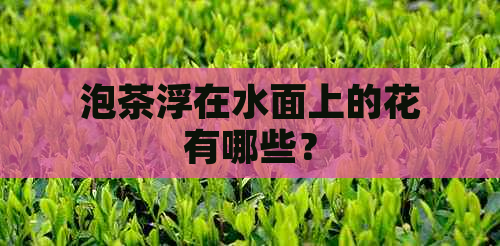 泡茶浮在水面上的花有哪些？