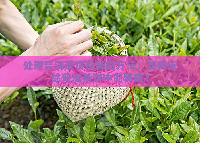 处理普洱茶饼杂味的方法：如何去除普洱茶饼中的异味？