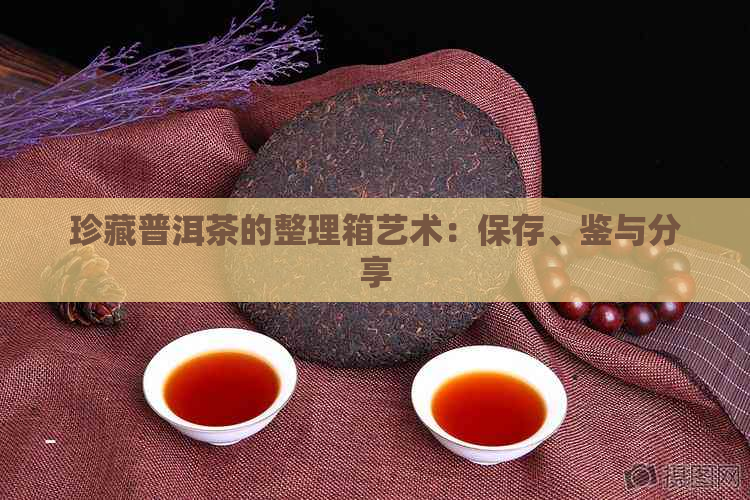 珍藏普洱茶的整理箱艺术：保存、鉴与分享