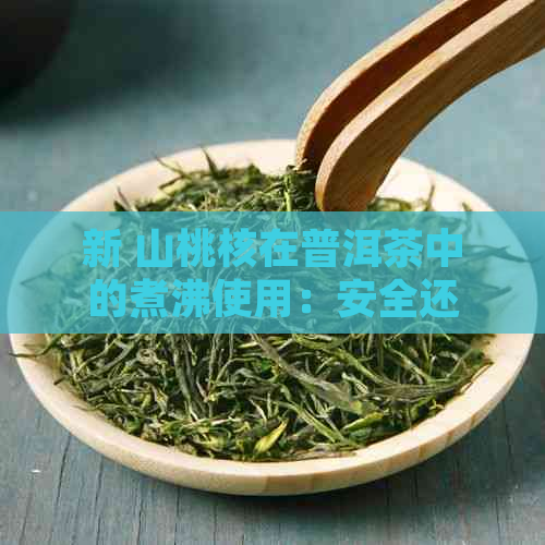 新 山桃核在普洱茶中的煮沸使用：安全还是禁忌？