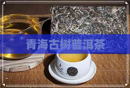 青海古树普洱茶