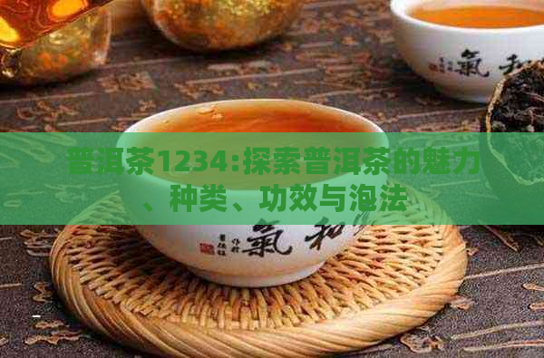 普洱茶1234:探索普洱茶的魅力、种类、功效与泡法