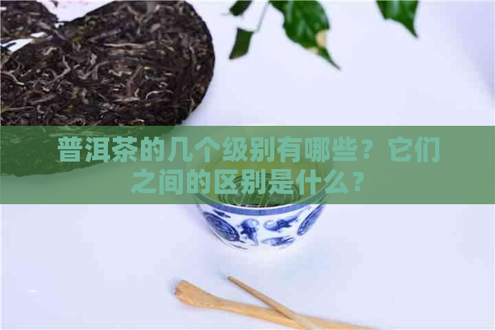 普洱茶的几个级别有哪些？它们之间的区别是什么？