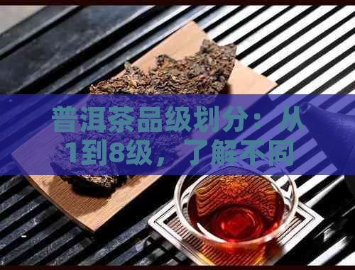 普洱茶品级划分：从1到8级，了解不同级别茶叶的品质与特点