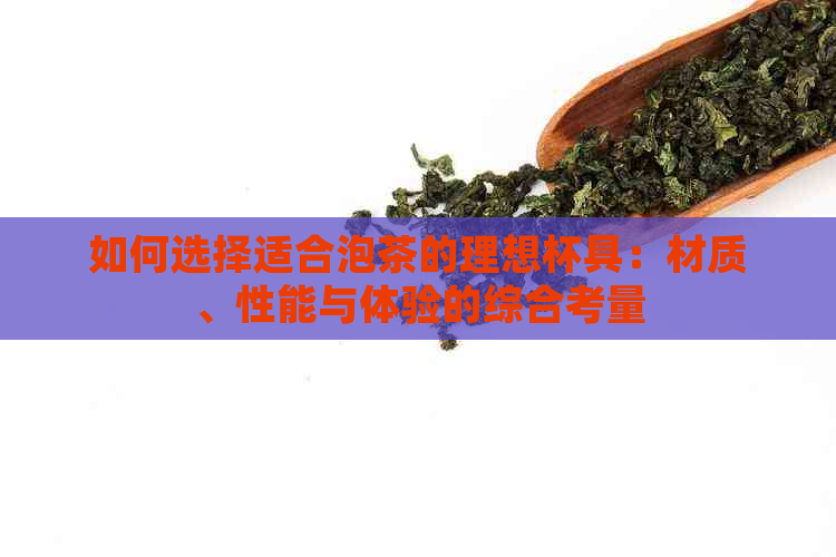 如何选择适合泡茶的理想杯具：材质、性能与体验的综合考量