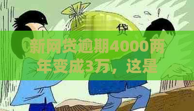 新网贷逾期4000两年变成3万，这是否合理？如何解决逾期问题？