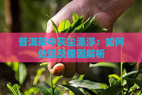 普洱茶中灰尘漂浮：如何处理及原因解析