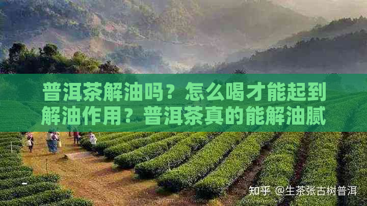 普洱茶解油吗？怎么喝才能起到解油作用？普洱茶真的能解油腻吗？