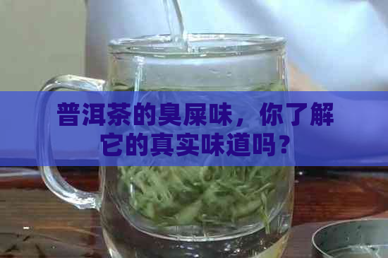 普洱茶的臭屎味，你了解它的真实味道吗？