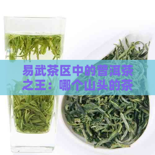 易武茶区中的普洱茶之王：哪个山头的茶最为出众？