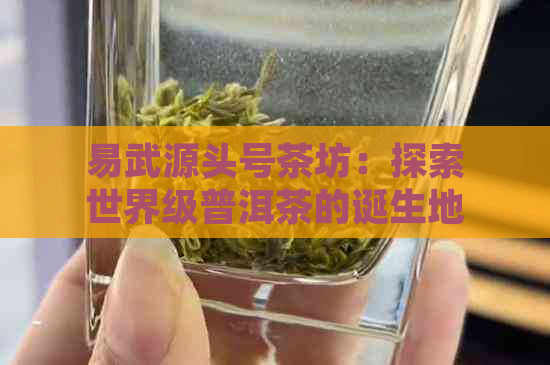 易武源头号茶坊：探索世界级普洱茶的诞生地与品质之源