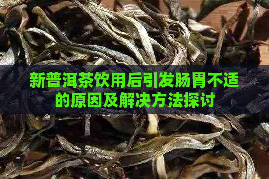 新普洱茶饮用后引发肠胃不适的原因及解决方法探讨