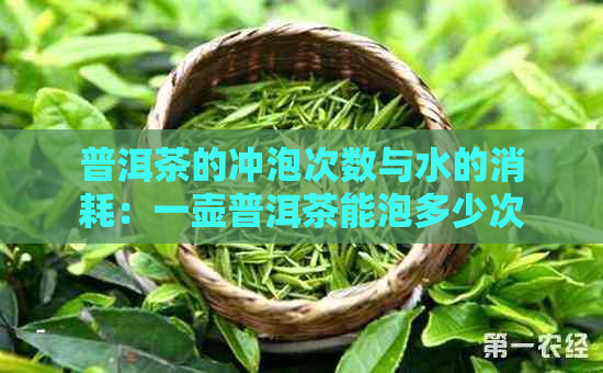 普洱茶的冲泡次数与水的消耗：一壶普洱茶能泡多少次？