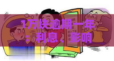 1万块逾期一年：利息、影响与还款金额详解