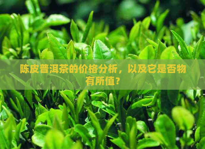 陈皮普洱茶的价格分析，以及它是否物有所值？