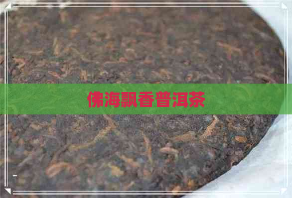 佛海飘香普洱茶