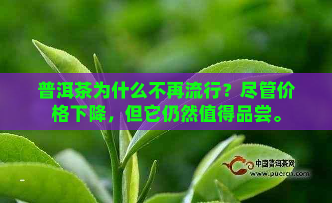 普洱茶为什么不再流行？尽管价格下降，但它仍然值得品尝。