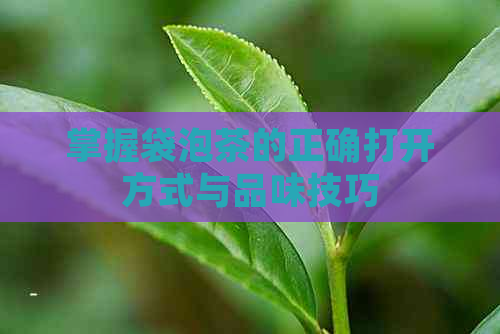 掌握袋泡茶的正确打开方式与品味技巧