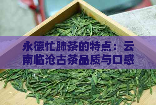 永德忙肺茶的特点：云南临沧古茶品质与口感解析