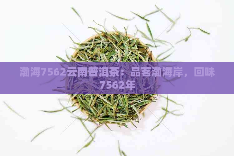 渤海7562云南普洱茶：品茗渤海岸，回味7562年