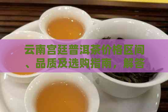 云南宫廷普洱茶价格区间、品质及选购指南，解答您关于普洱茶的所有疑问