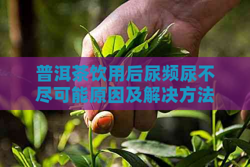 普洱茶饮用后尿频尿不尽可能原因及解决方法，让你喝茶更放心