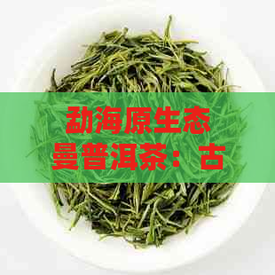 勐海原生态曼普洱茶：古树茶韵，品质之选