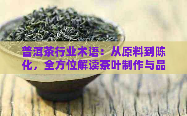 普洱茶行业术语：从原料到陈化，全方位解读茶叶制作与品质