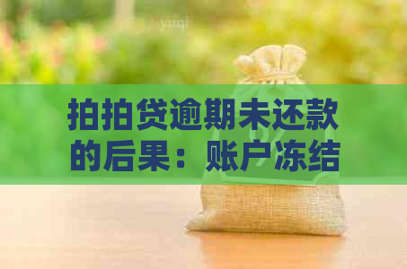 逾期未还款的后果：账户冻结的可能性及相关应对措全面解析