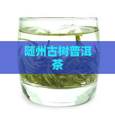 随州古树普洱茶