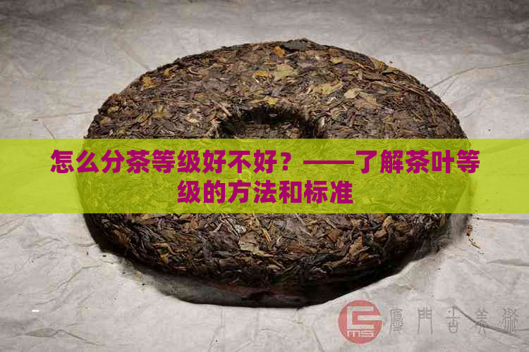 怎么分茶等级好不好？——了解茶叶等级的方法和标准