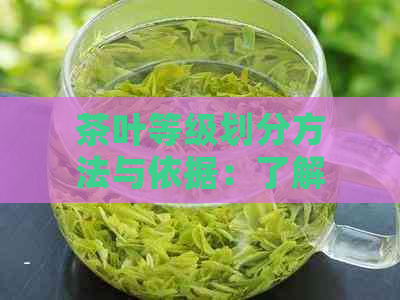 茶叶等级划分方法与依据：了解不同等级茶叶的特点与品质