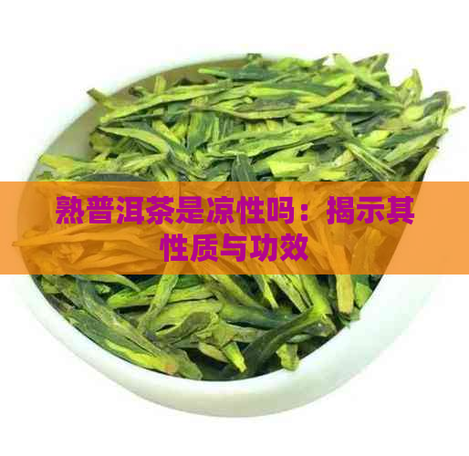 熟普洱茶是凉性吗：揭示其性质与功效