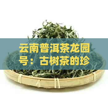 云南普洱茶龙园号：古树茶的珍稀之选与文化传承